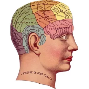 Brain Memory Regions